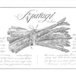 Piórkiem i tuszem. Piórkiem i tuszem