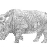 Piórkiem i tuszem. Piórkiem i tuszem