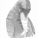 Piórkiem i tuszem. Piórkiem i tuszem