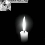 Plakat: Falender. Profesor od liter