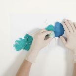 Płochliwy, krzykliwy, z wachlarzem bajecznych pi oacute r na ogonie i zawadiackim czubkiem na głowie. O tym,