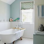 Płochliwy, krzykliwy, z wachlarzem bajecznych pi oacute r na ogonie i zawadiackim czubkiem na głowie. O tym,