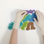 Płochliwy, krzykliwy, z wachlarzem bajecznych pi oacute r na ogonie i zawadiackim czubkiem na głowie. O tym,