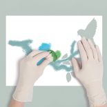 Po kolei wypełniamy szablon. Dekoracyjne ptaki - szablon do malowania