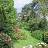 Podczas spaceru można podziwiać najpiękniejsze kwiaty.