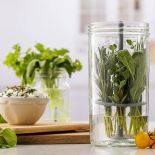 jak najlepiej przechowywać świeżo ścięte zioła