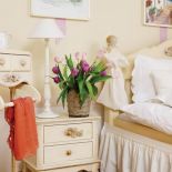 Polo i śródziemnomorskie klimaty. Polo i śródziemnomorskie klimaty