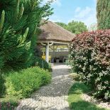 Południowe klimaty na każdym kroku mieszają się tu z polskimi akcentami. W brzozowym zagajniku jesienią rosną koźlaki.