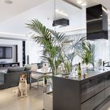 Pomiędzy salonem a kuchnią stoją donice z kentiami.