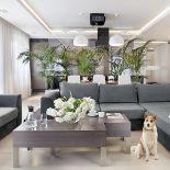 Pomiędzy salonem a kuchnią stoją donice z kentiami.