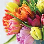 Pomysł na dekorację z tulipanów. Prosty bukiet kwiatów.