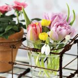 Pomysł na dekorację z tulipanów. Wiosna - czas tulipanów