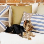 Pomysł na dom zrodził się podczas wakacji nad morzem. Jest spokojny, w kolorach piasku, z