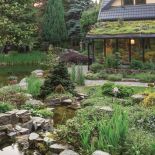 Ten ogród robi to, co chce: naturalnie zaaranżowany ogród blisko lasu