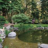 Ten ogród robi to, co chce: naturalnie zaaranżowany ogród blisko lasu