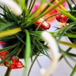 Pomysł nie jest zwyczajny, bo bombki kojarzą nam się raczej ze Świętami Bożego Narodzenia.