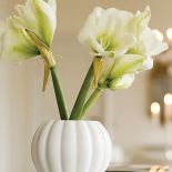 Porcelana Royal Copenhagen. Porcelana Royal Copenhagen