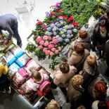 Luty to idealny czas, by zaplanować prace w wiosennym ogrodzie.