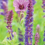 Praca w ogrodzie jest wspaniała zarówno dla ciała, jak i duszy. Zwłaszcza w tak pięknym i wielkim ogrodzie.