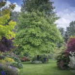 projekt ogrodu z zakamarkami