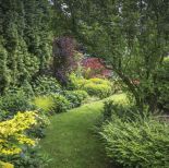 projektowanie ogrodu z zakamarkami