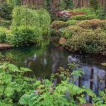 Ogród piękniejszy niż w angielskiej powieści