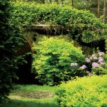 Przed drzwiami ziemianki rośnie kalina i kwitnący na fioletowo rododendron.