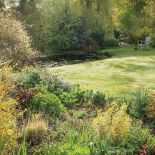 rośliny ogrodowe wiosenne