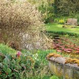 angielski gród ze stawem