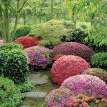 Projekt ogrodu japońskiego