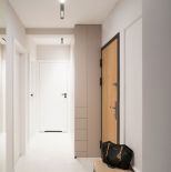 przedpokój w mieszkaniu w bloku