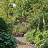 Przeważające w ogrodzie odcienie żółci i zieleni wprowadzają słoneczną, wakacyjną atmosferę.