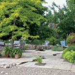 Przeważające w ogrodzie odcienie żółci i zieleni wprowadzają słoneczną, wakacyjną atmosferę.