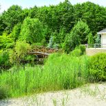 Przez działkę płynie strumyk. Wokół drzewa iglaste, które zwykle rosną nad górskimi potokami