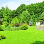 Przez działkę płynie strumyk. Wokół drzewa iglaste, które zwykle rosną nad górskimi potokami