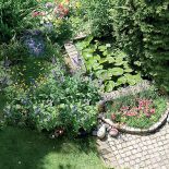 Przez kolejne części ogrodu prowadzą ścieżki opasane niskimi murkami z żółtego granitu.