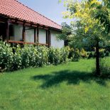 Przez przeszkloną ścianę widać szpaler czerwonych porzeczek, nad nim rozpościera się wspaniały widok na ogród.