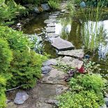 Przez staw można przejść suchą stopą po wkopanych w dno kamieniach. Tak samo jak w ogrodach Japonii.