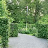 Przycięte żywopłoty. Ogród w lesie