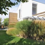 Przyroda sama zdecydowała, co ma tu rosnąć. Ewa posadziła drzewa, ale wszystkie uschły. Trawy za to przyjęły się znakomicie.