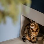 mieszkanie w beżach i błękicie