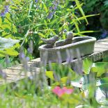 Ptaki przy oczku wodnym. Ogród w angielskim stylu