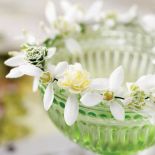 Pucharek nie tylko do wody. Można udekorować do kwiatami. Fot. Picture Press/East News