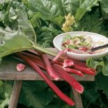 Rabarbarowa uczta. Rabarbarowa uczta