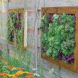 Rojnik - jak obraz na ścianie. Ogród na ścianie