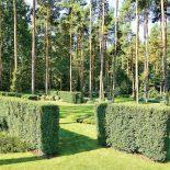 Równo przycięte żywopłoty tworzą alejki.
