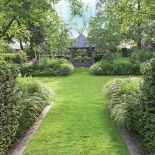 Dom z ogrodem pełnym wysokich drzew