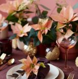 różowa gwiazda betlejemska dekoracje stołu na boże narodzenie