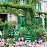 Różowe tulipany nawiązują do koloru elewacji.