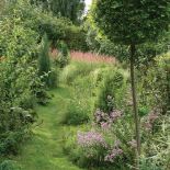 Rubinia ( kula na patyku ). Ogród pełen traw i żywopłotów